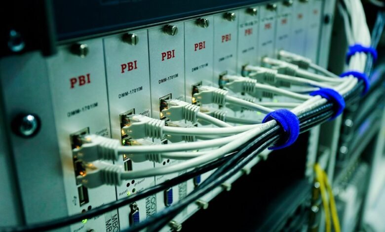 creative digital network identity