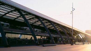 digital growth hub platform identifier