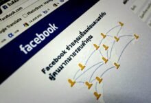 pro online network id 120015413