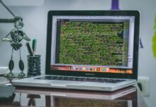 pro web platform release identifier