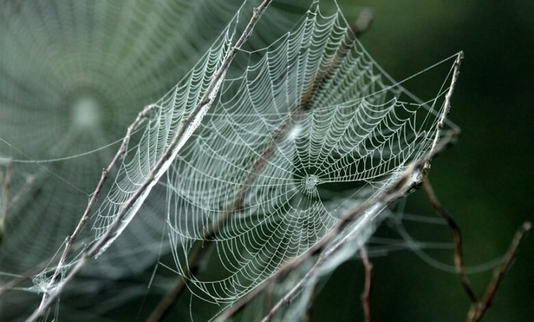 smart growth engine 643192612 web