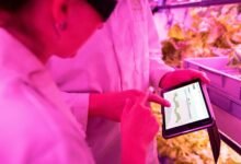 smart growth hub 224004040 digital