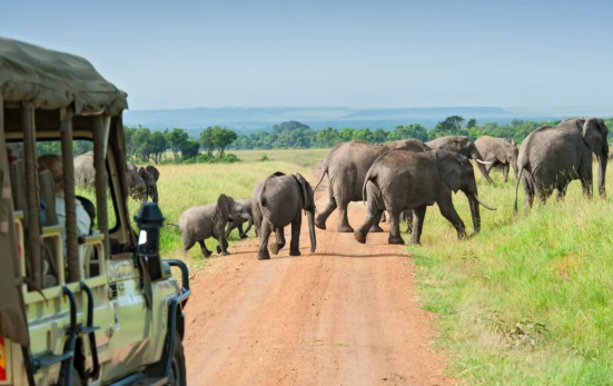 A More Rewarding Way to Plan a Big Five Safari